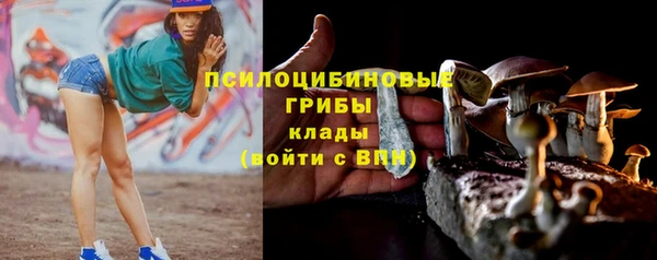бошки Армянск