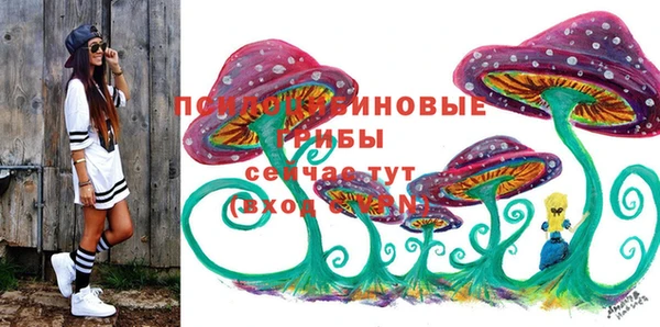 метадон Аркадак