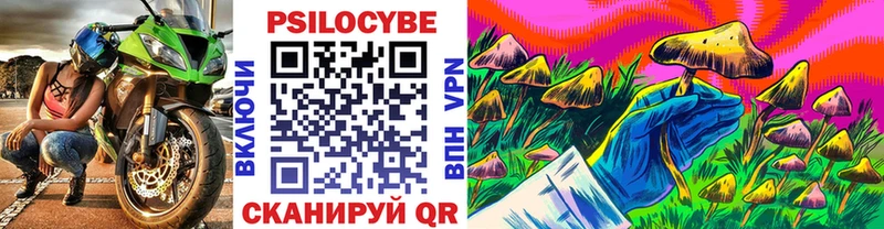 Псилоцибиновые грибы Psilocybine cubensis Ясногорск